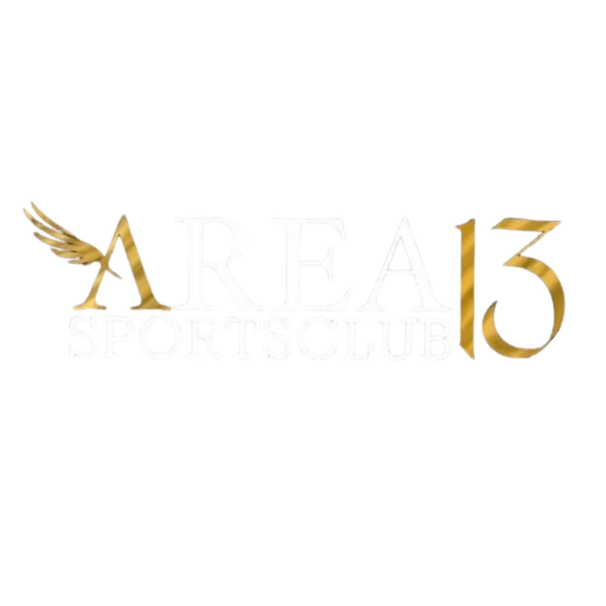 Logo des Fitnessstudios Area13 Sportsclub in Ettenheim.